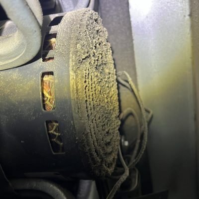 WhatsApp Image 2025-03-28 at 5.52.21 AM (2)